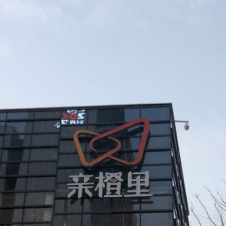 花燈圖片-花燈標識設計圖片