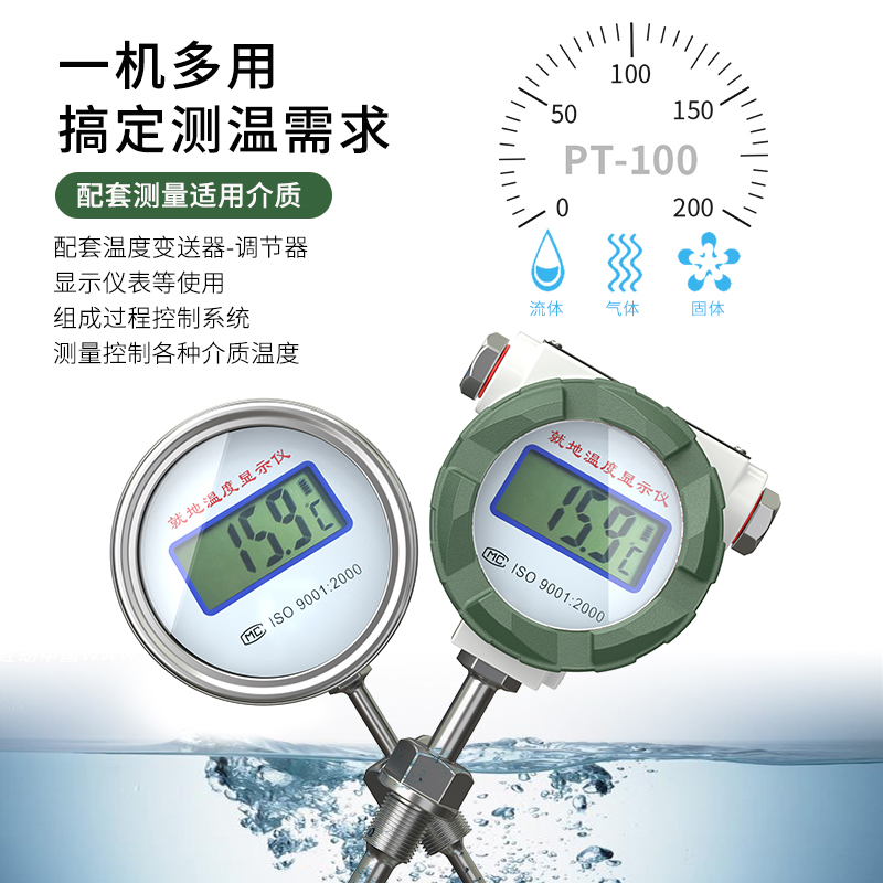 就地溫度顯示儀1_http://www.raeo.cn_溫度儀表_第2張