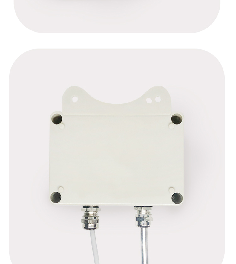 掛壁式溫度變送器2_http://www.raeo.cn_溫度儀表_第12張