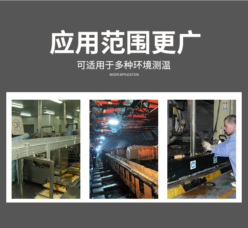 2008一體化溫度傳感器8_http://www.raeo.cn_溫度儀表_第7張