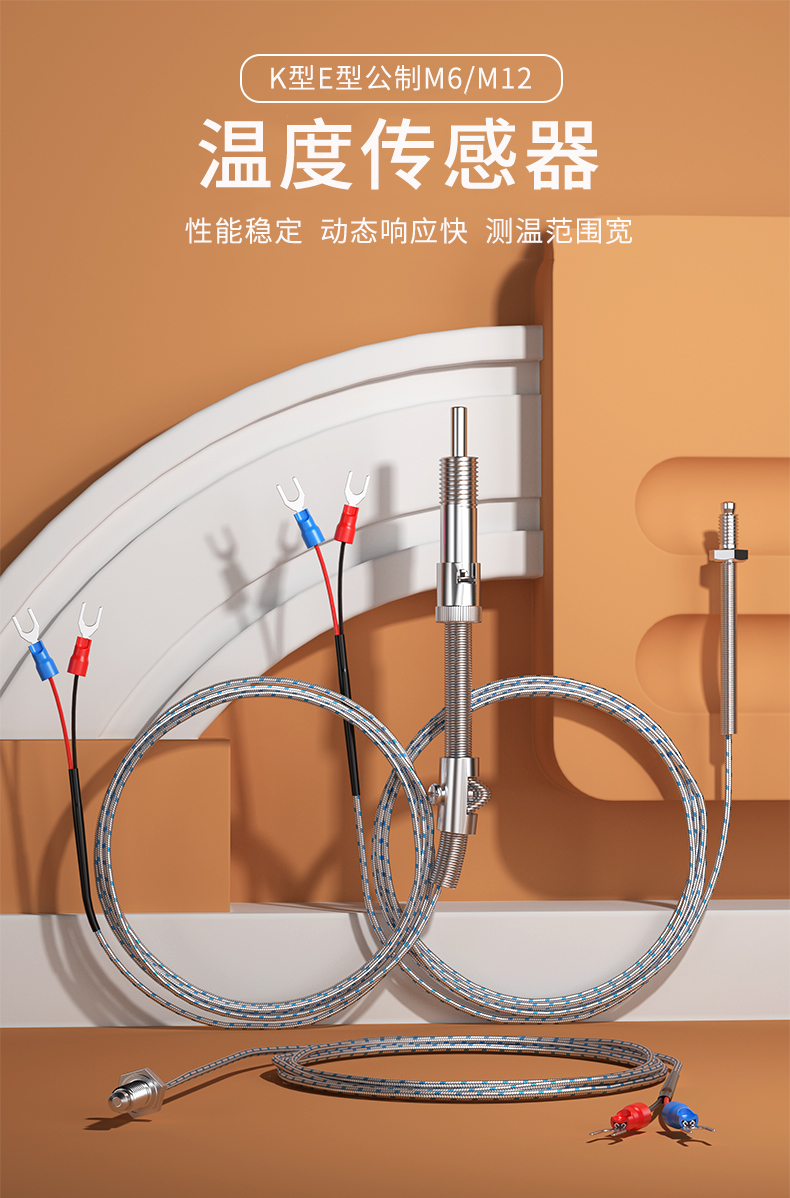 多規(guī)格溫度傳感器9_http://www.raeo.cn_溫度儀表_第5張