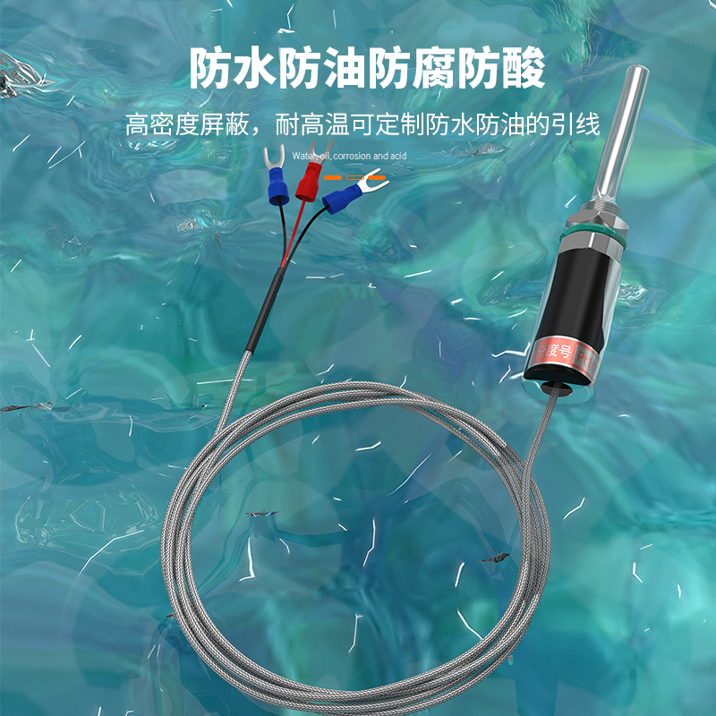 PT100溫度傳感器13_http://www.raeo.cn_溫度儀表_第4張