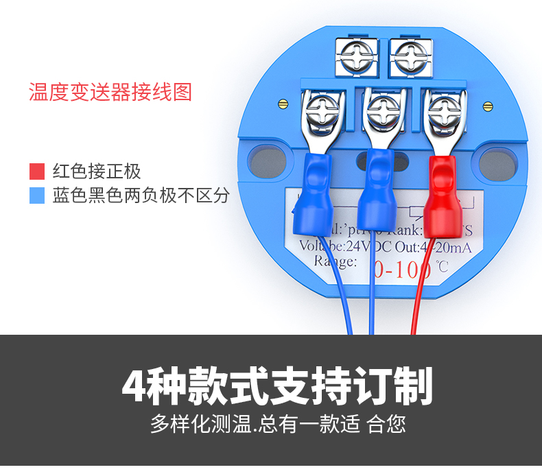PT100溫度傳感器13_http://www.raeo.cn_溫度儀表_第14張