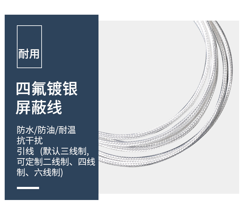 端面熱電阻6_http://www.raeo.cn_溫度儀表_第11張