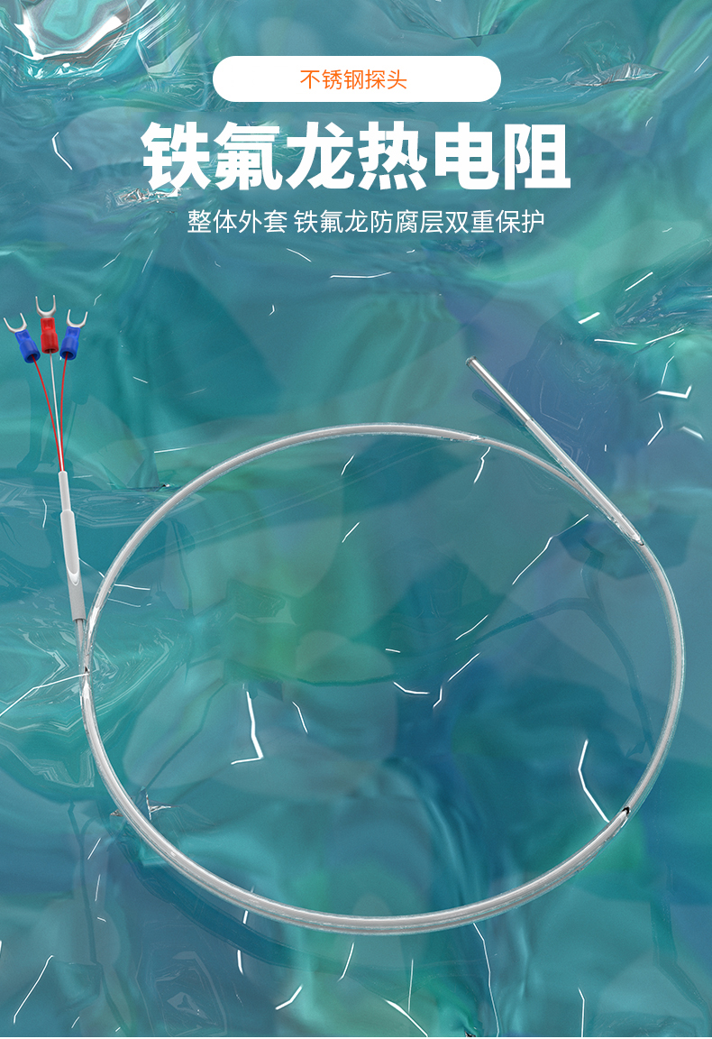 鐵氟龍熱電阻12_http://www.raeo.cn_溫度儀表_第4張