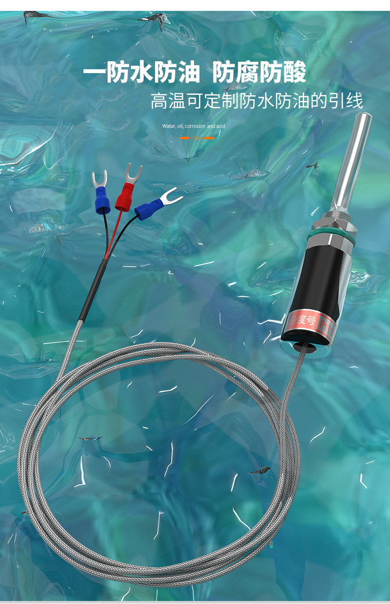 PT100溫度傳感器13_http://www.raeo.cn_溫度儀表_第9張