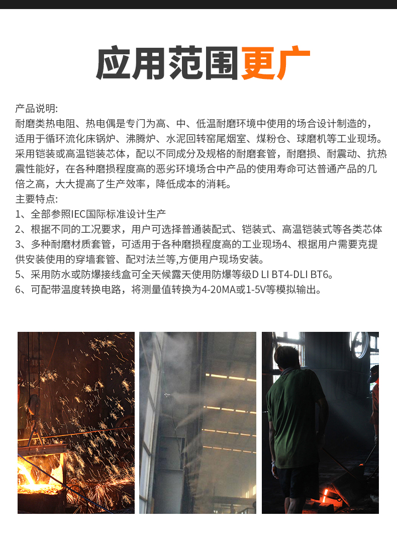 WRNM-131耐磨熱電偶15_http://www.raeo.cn_溫度儀表_第6張