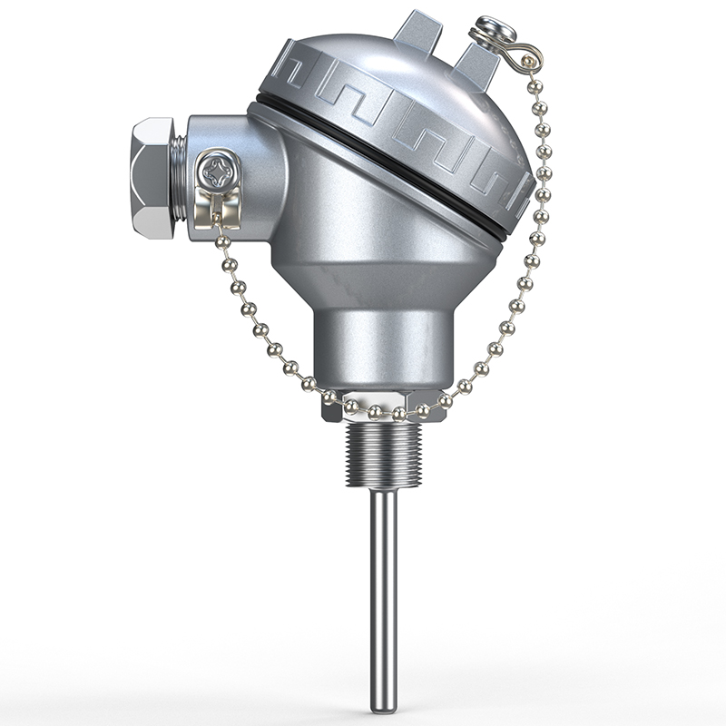 PT-100 一體化溫度傳感變送器16_http://www.raeo.cn_溫度儀表_第1張