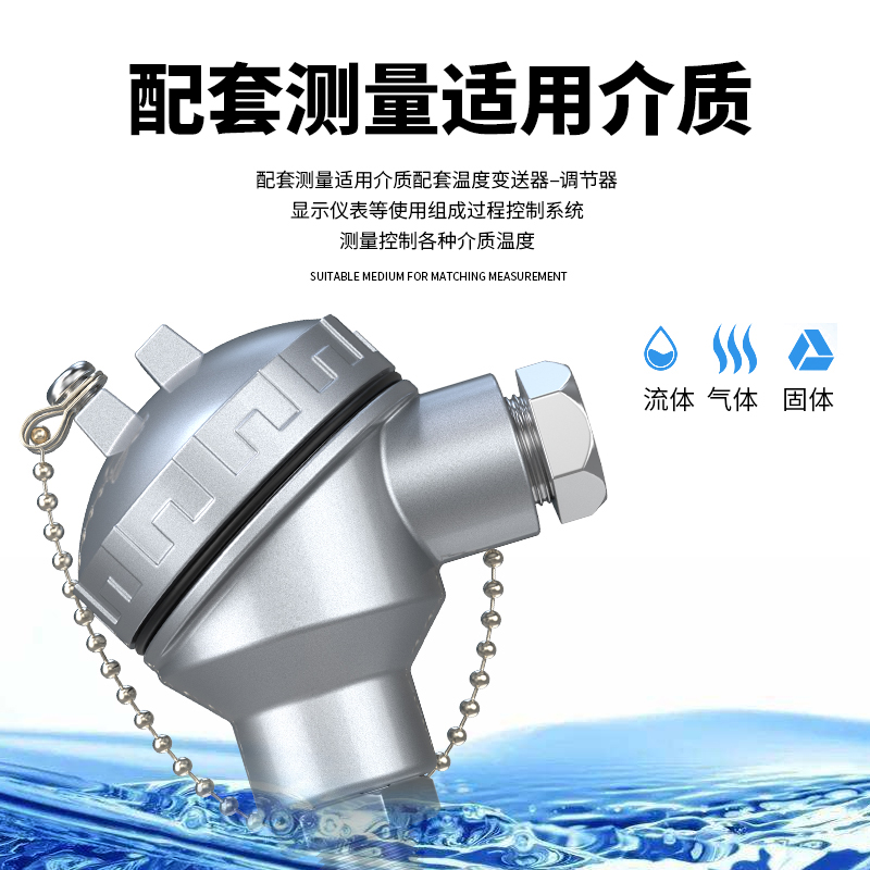 PT-100 一體化溫度傳感變送器16_http://www.raeo.cn_溫度儀表_第2張