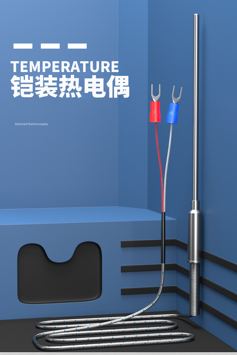 鎧裝溫度傳感器18_http://www.raeo.cn_溫度儀表_第5張