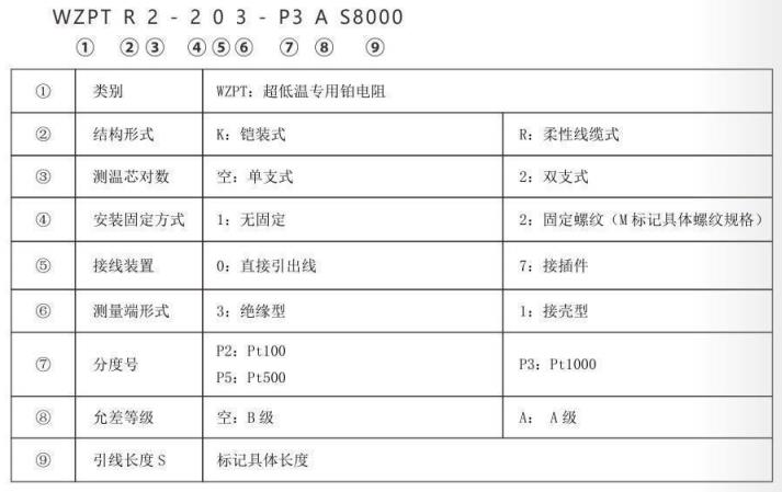 超低溫專用熱電阻_http://www.raeo.cn_專用溫度傳感器_第2張