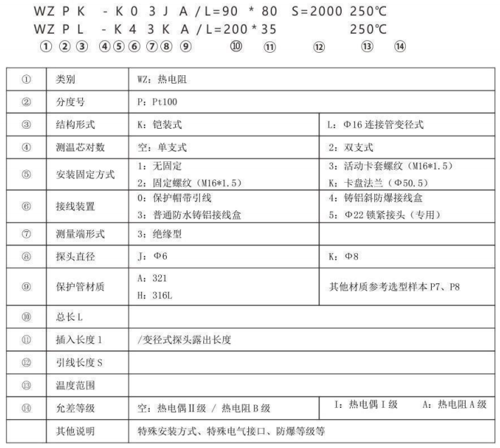制藥機械專用熱電阻_http://www.raeo.cn_專用溫度傳感器_第2張