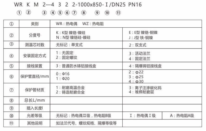 耐磨熱電偶/熱電阻_http://www.raeo.cn_專用溫度傳感器_第2張